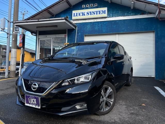 Nissan LEAF 2018 — фото автомобиля 1