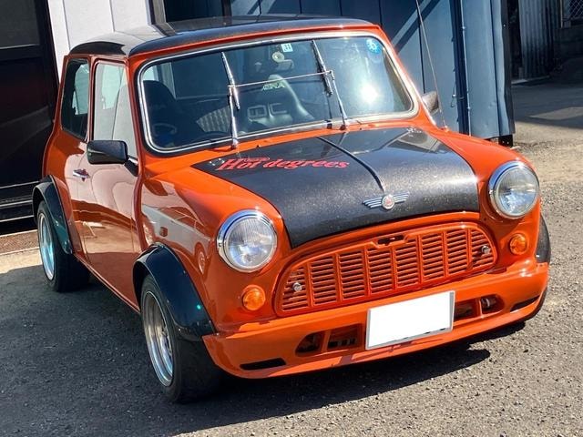 Rover MINI 1992 — фото автомобиля 1