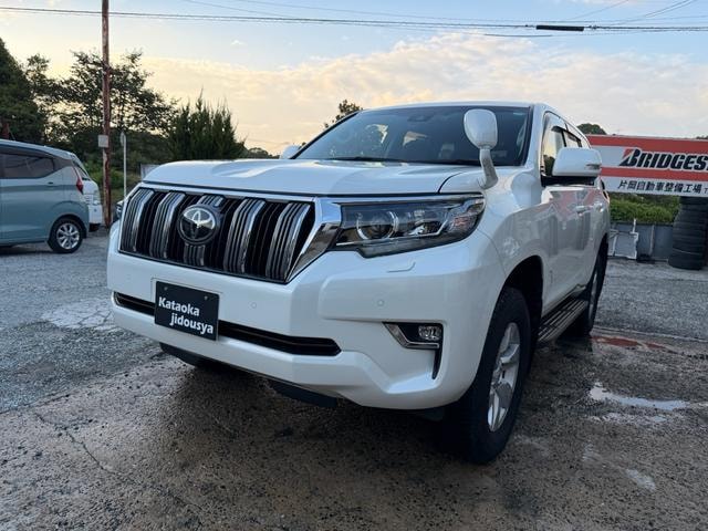 Toyota LAND CRUISER PRADO 2021 — фото автомобиля 1