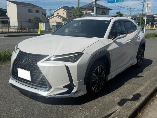 Lexus UX 2019 — фото автомобиля 1