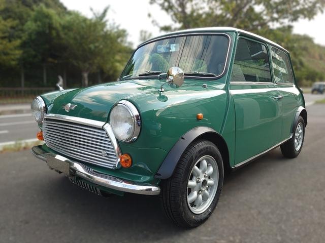 Rover MINI 1993 — фото автомобиля 1
