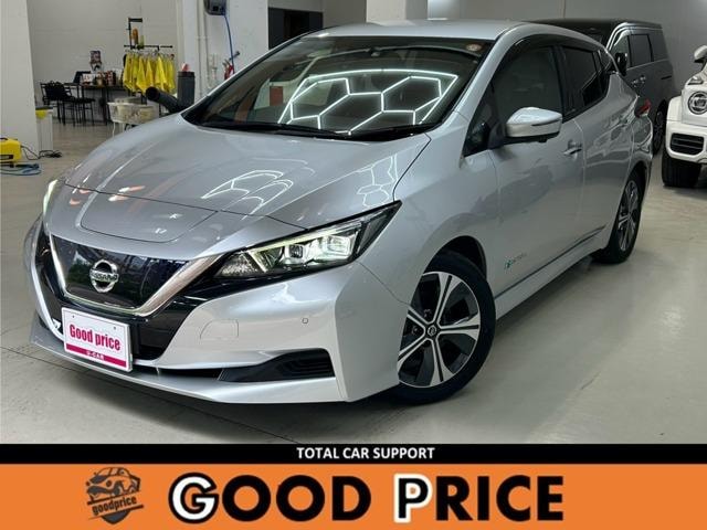 Nissan LEAF 2020 — фото автомобиля 1