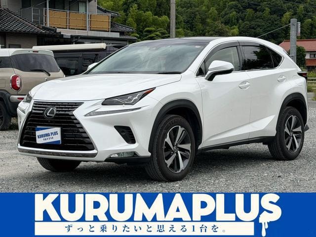 Lexus NX 2018 — фото автомобиля 1