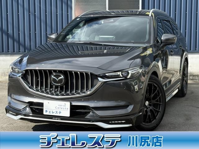 Mazda CX-8 2018 — фото автомобиля 1