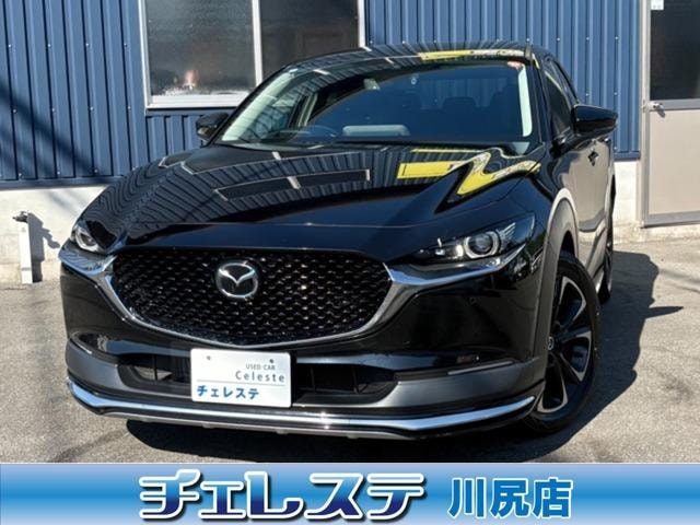 Mazda CX-30 2020 — фото автомобиля 1