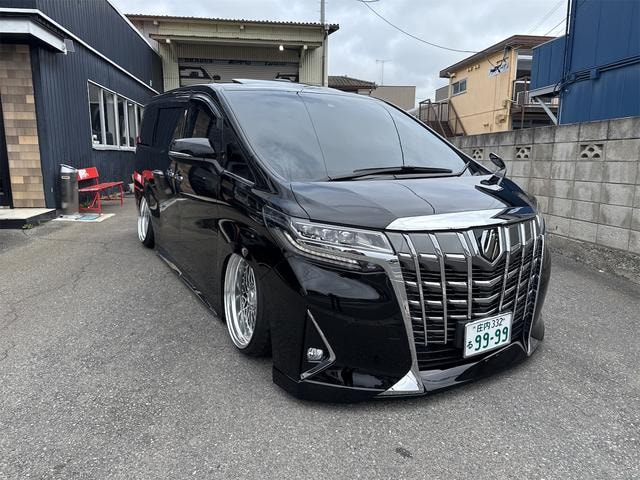Toyota ALPHARD 2022 — фото автомобиля 1