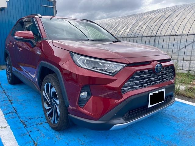 Toyota RAV4 2019 — фото автомобиля 1