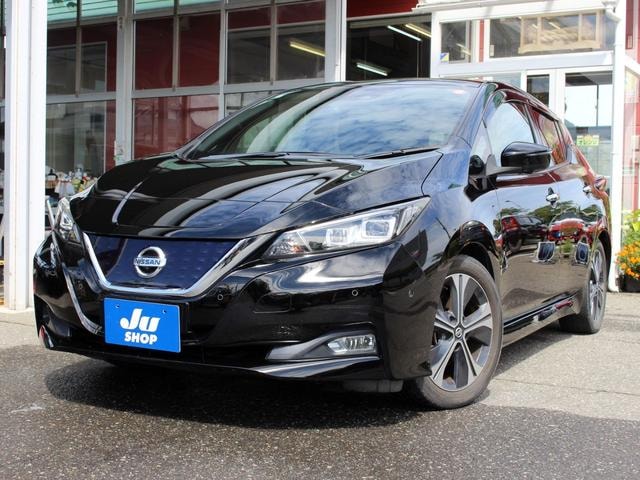 Nissan LEAF 2018 — фото автомобиля 1