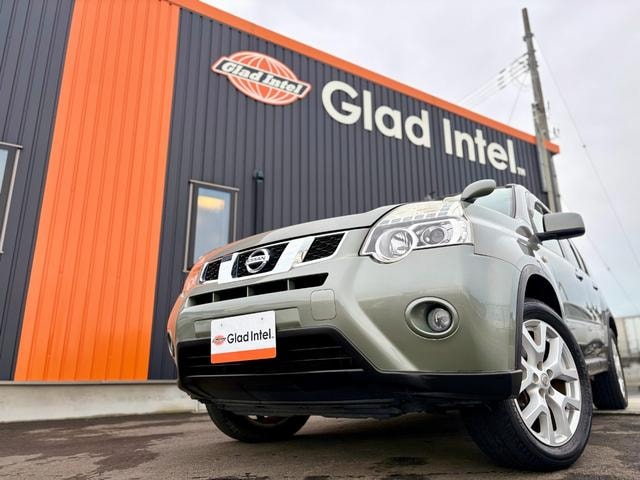 Nissan X-TRAIL 2013 — фото автомобиля 1