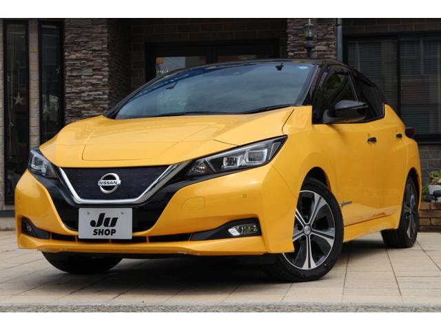Nissan LEAF 2018 — фото автомобиля 1
