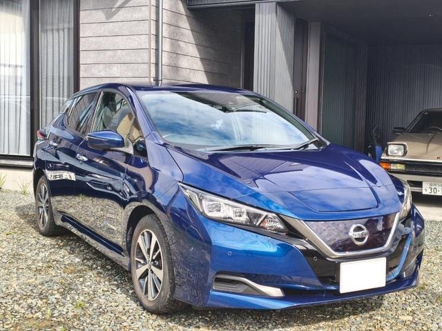 Nissan LEAF 2020 — фото автомобиля 1