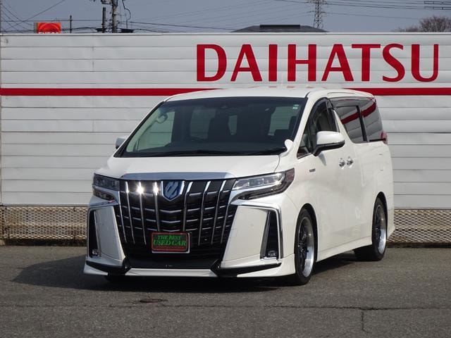 Toyota ALPHARD HYBRID 2019 — фото автомобиля 1