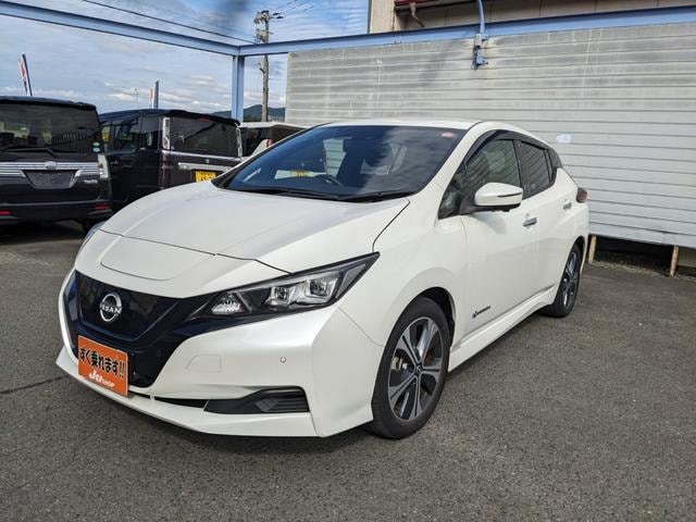 Nissan LEAF 2021 — фото автомобиля 1