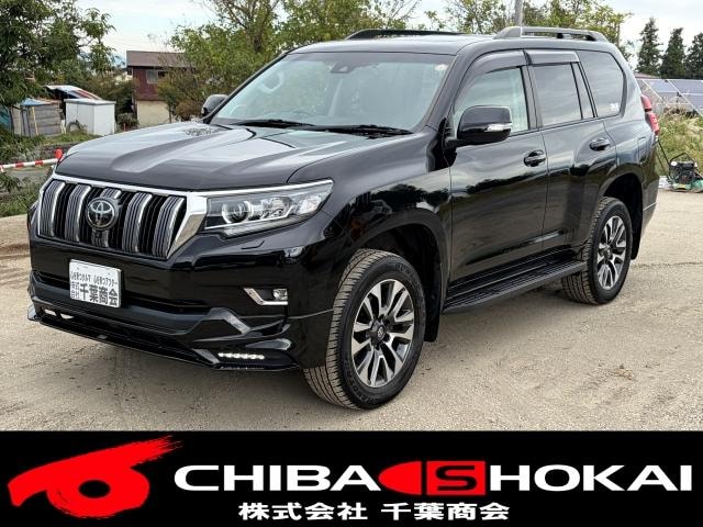 Toyota LAND CRUISER PRADO 2022 — фото автомобиля