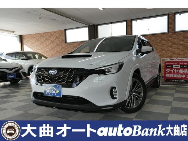 Subaru LEVORG LAYBACK 2023 — фото автомобиля