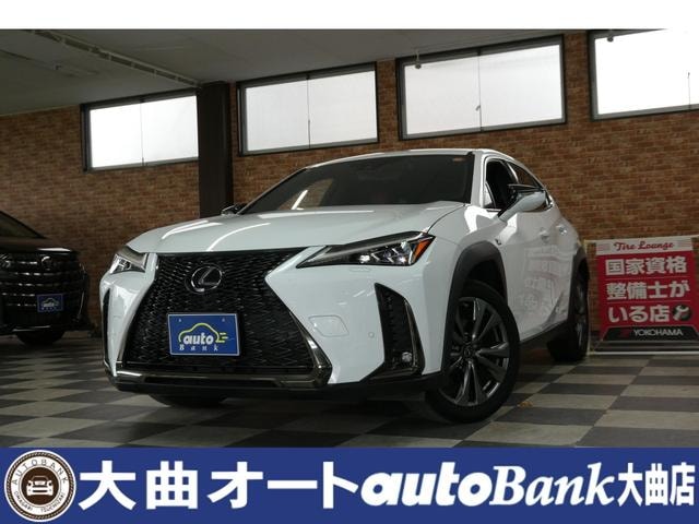 Lexus UX 2019 — фото автомобиля 1