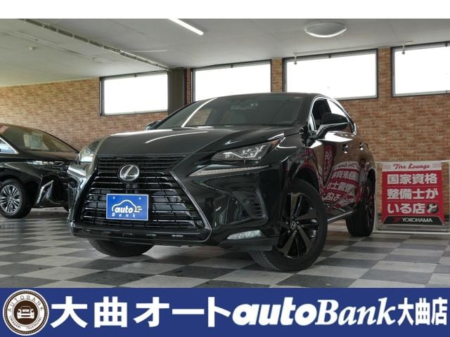 Lexus NX 2020 — фото автомобиля 1