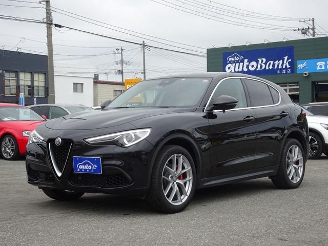 Alfa Romeo STELVIO 2019 — фото автомобиля 1