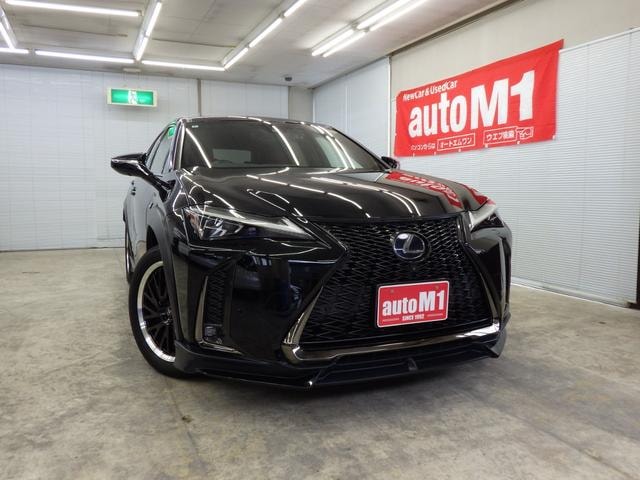 Lexus UX 2019 — фото автомобиля 1