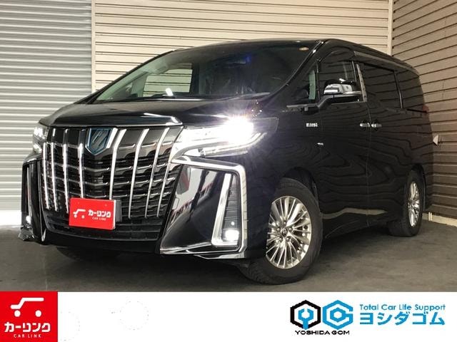 Toyota ALPHARD HYBRID 2020 — фото автомобиля