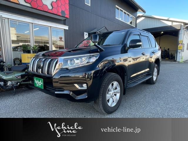 Toyota LAND CRUISER PRADO 2018 — фото автомобиля