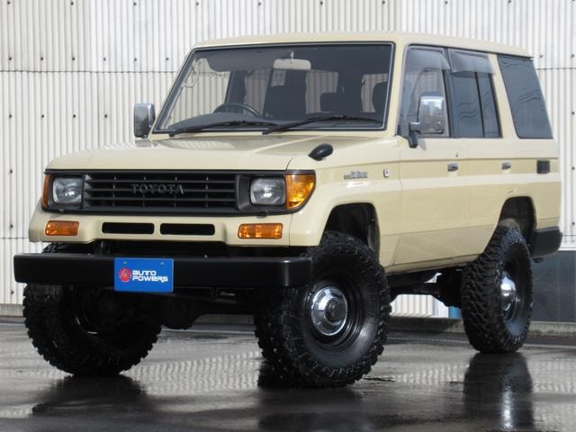 Toyota LAND CRUISER PRADO 1994 — фото автомобиля