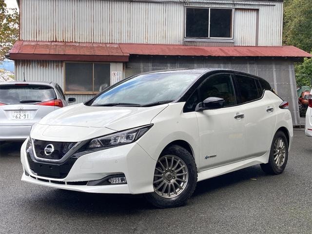 Nissan LEAF 2018 — фото автомобиля 1