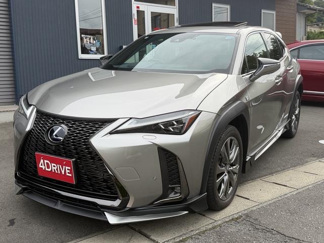 Lexus UX 2019 — фото автомобиля 1