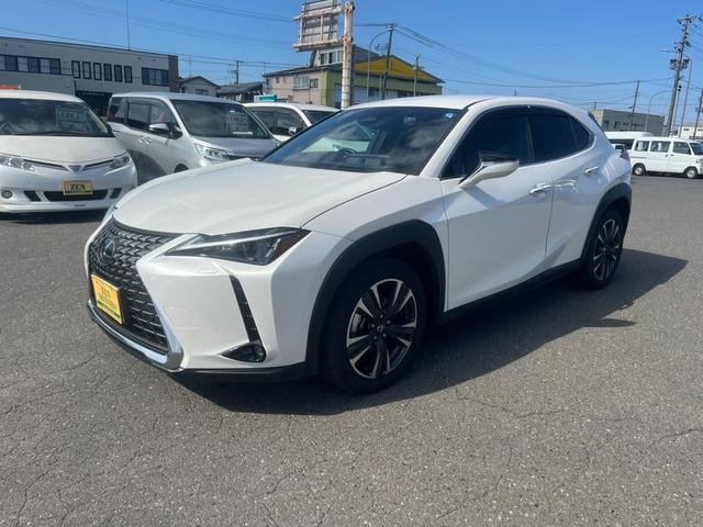 Lexus UX 2024 — фото автомобиля 1