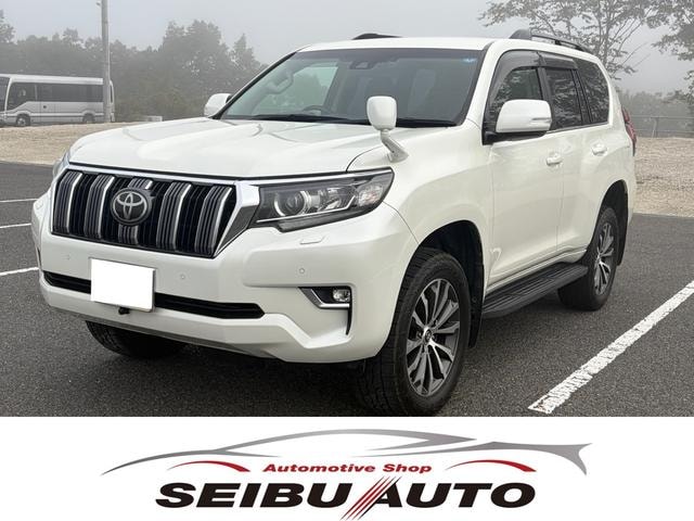 Toyota LAND CRUISER PRADO 2019 — фото автомобиля
