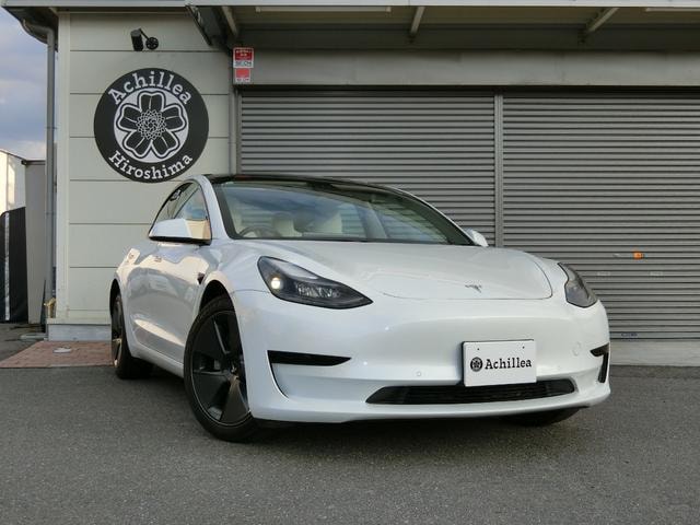 Tesla MODEL 3 2021 — фото автомобиля 1