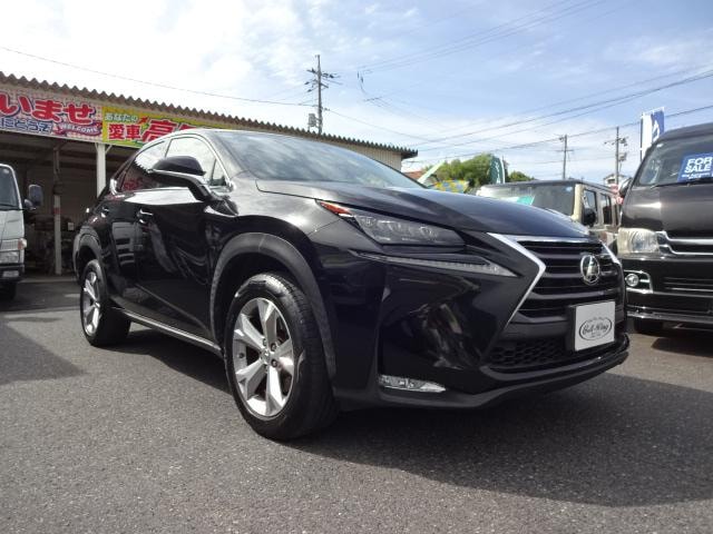 Lexus NX 2014 — фото автомобиля