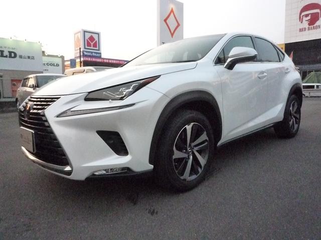 Lexus NX 2018 — фото автомобиля 1