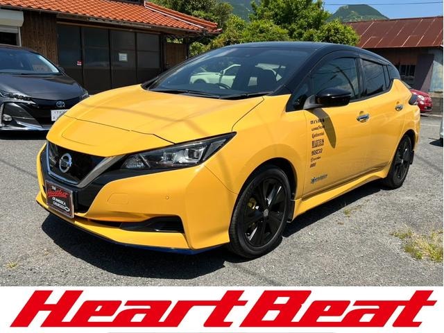 Nissan LEAF 2018 — фото автомобиля 1