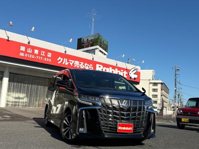 Toyota ALPHARD 2019 — фото автомобиля 1