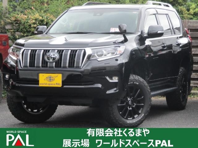 Toyota LAND CRUISER PRADO 2022 — фото автомобиля