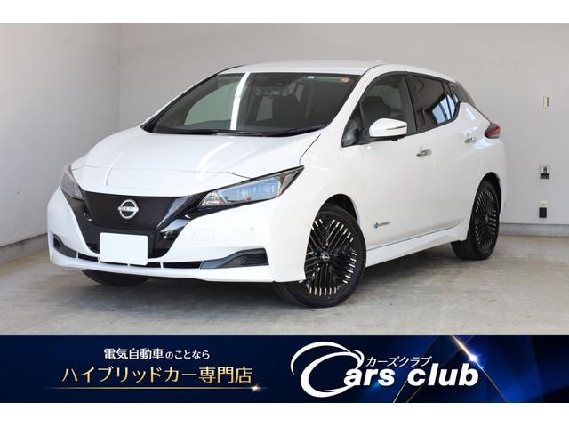 Nissan LEAF 2023 — фото автомобиля 1