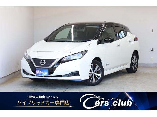 Nissan LEAF 2020 — фото автомобиля 1