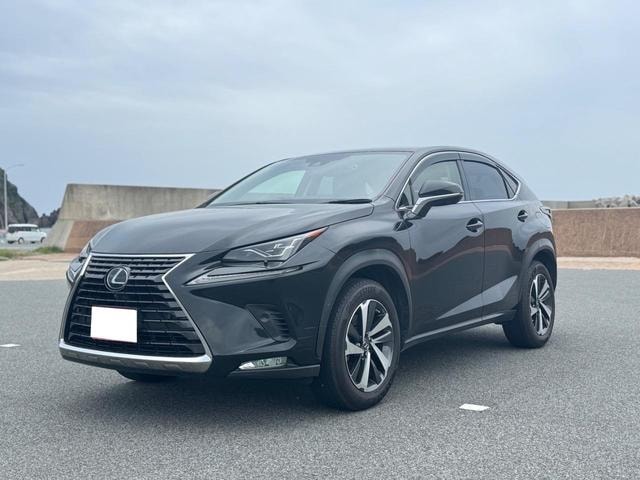 Lexus NX 2020 — фото автомобиля 1