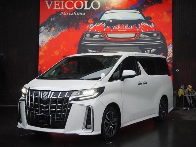 Toyota ALPHARD 2022 — фото автомобиля 1