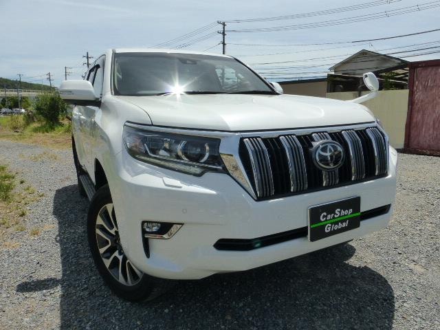 Toyota LAND CRUISER PRADO 2022 — фото автомобиля