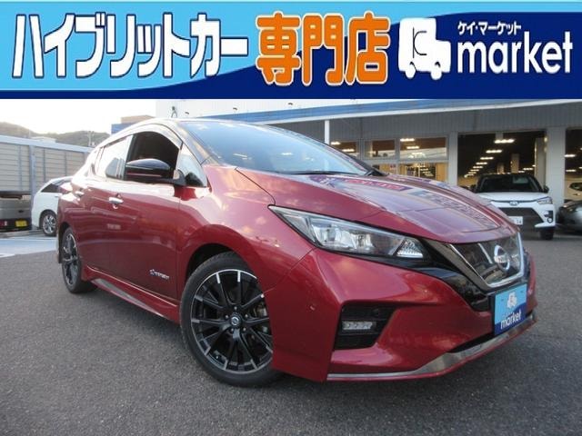 Nissan LEAF 2019 — фото автомобиля 1