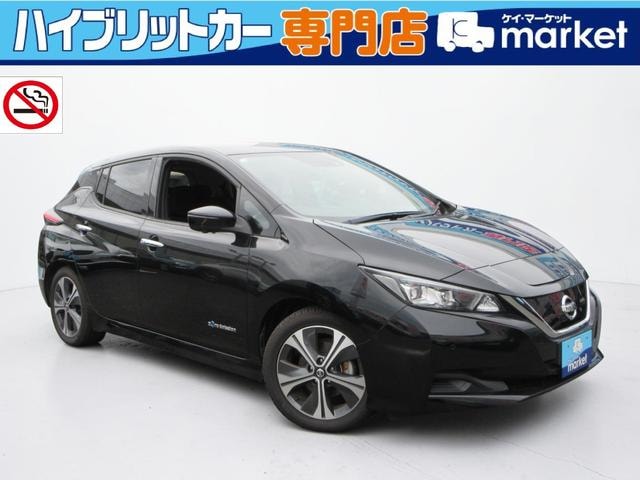 Nissan LEAF 2021 — фото автомобиля