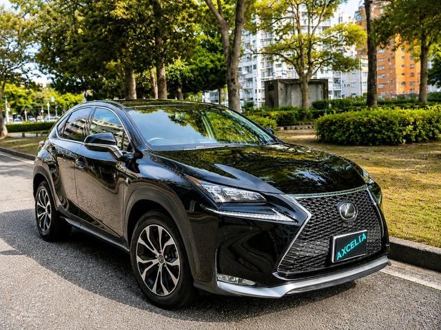 Lexus NX 2014 — фото автомобиля 1