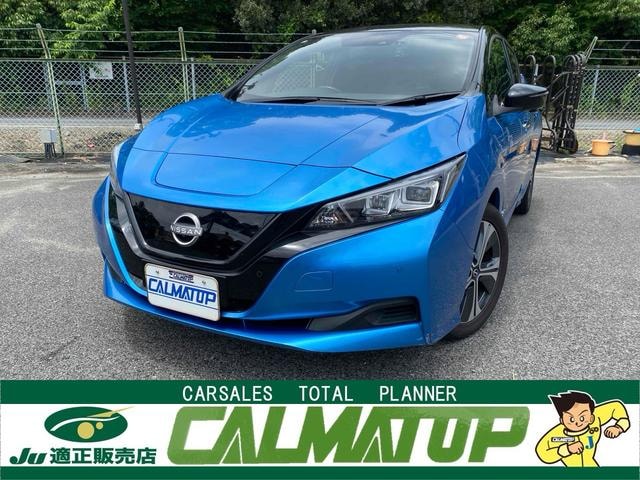 Nissan LEAF 2021 — фото автомобиля 1