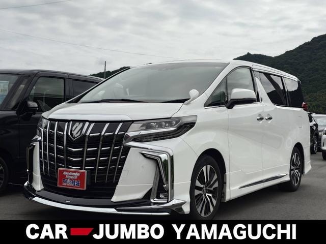 Toyota ALPHARD 2020 — фото автомобиля