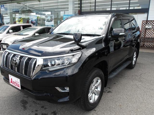 Toyota LAND CRUISER PRADO 2021 — фото автомобиля