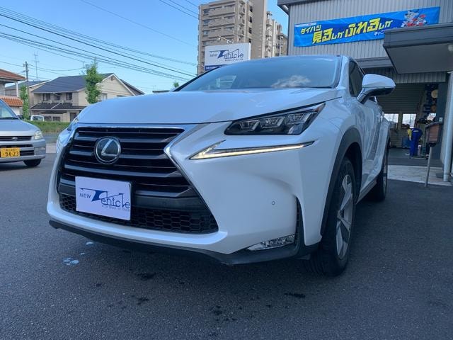Lexus NX 2014 — фото автомобиля 1