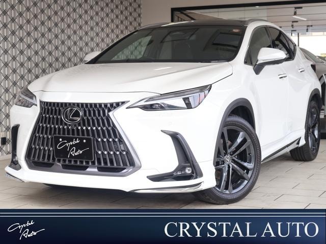 Lexus NX 2023 — фото автомобиля