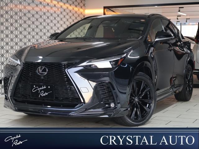 Lexus NX 2023 — фото автомобиля 1